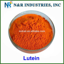 Nature Marigold PE Lutein en poudre en vrac